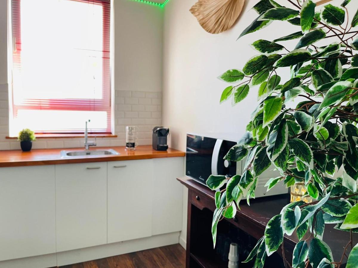 Apartment Balille *
