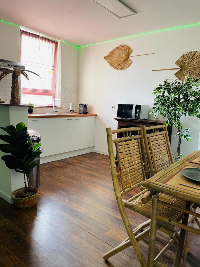 Balille Apartment Lille