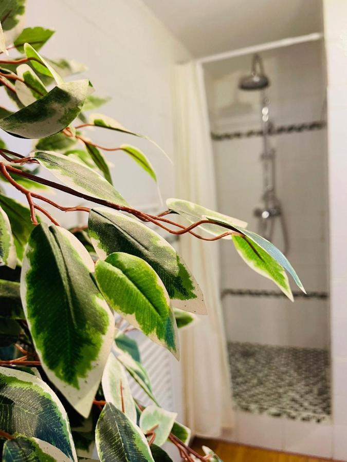 Balille Apartamento